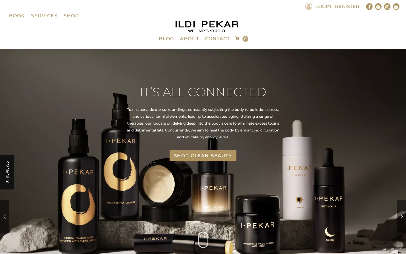 Ildi Pekar website by Wandzilak Web Design