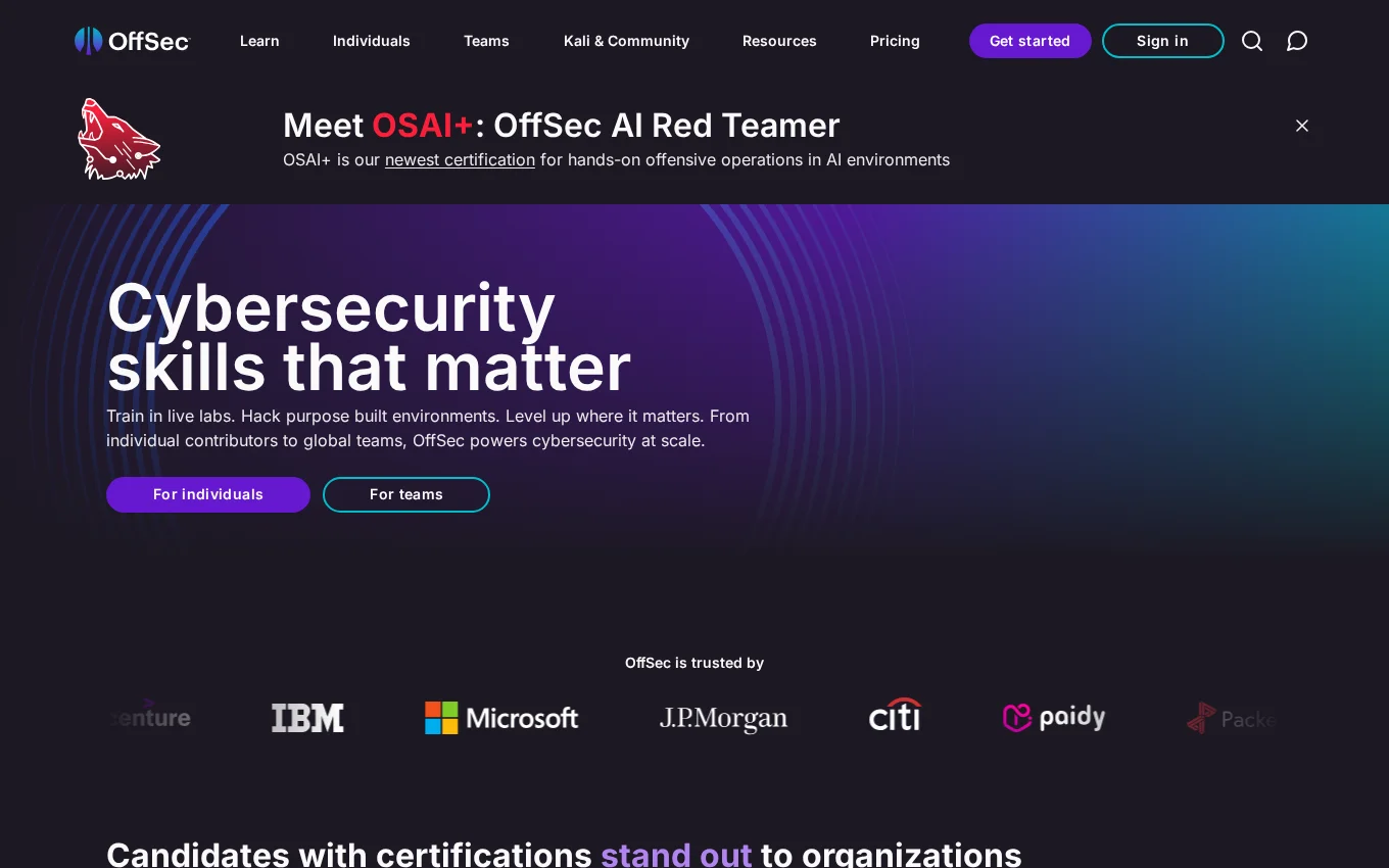 Offensive Security website by Wandzilak Web Design